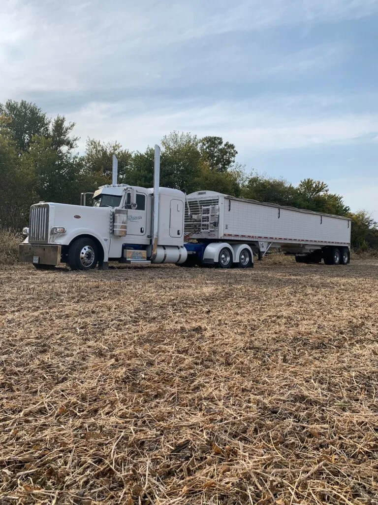 Grain field #3