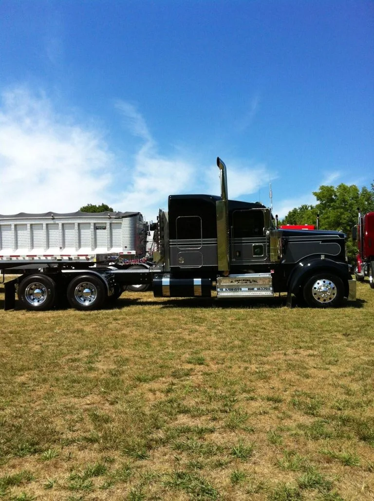 Black and grey Hansen sleeper in a field