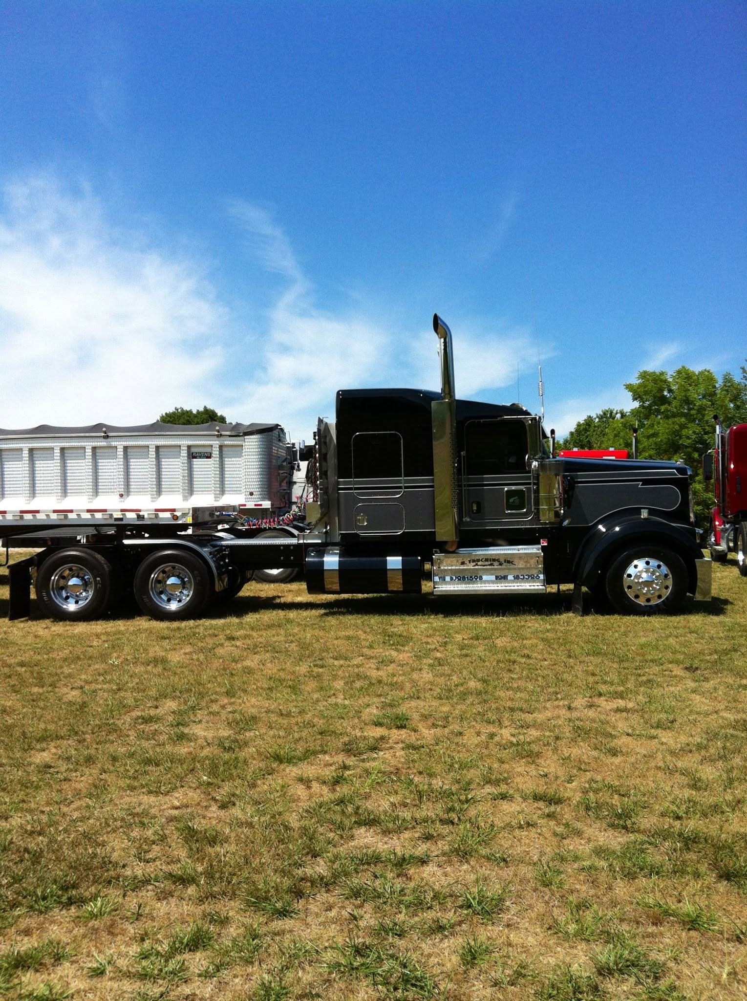 Black and grey Hansen sleeper in a field