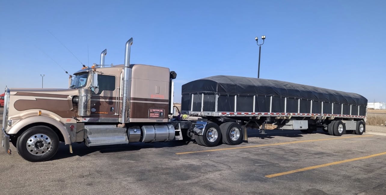 Hansen brown tarps