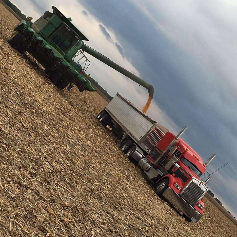 Hansen Trucking truck in a cornfield at harvest