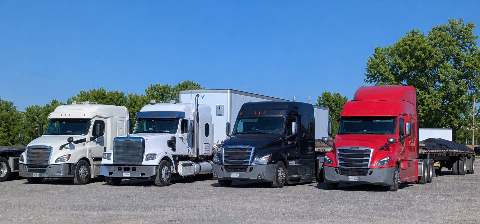Four Freightliner sleepers lined up